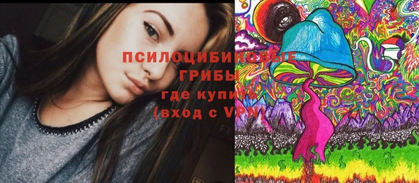 кристаллы Инта