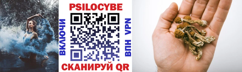 Купить закладки  Долинск  Галлюциногенные грибы Cubensis 